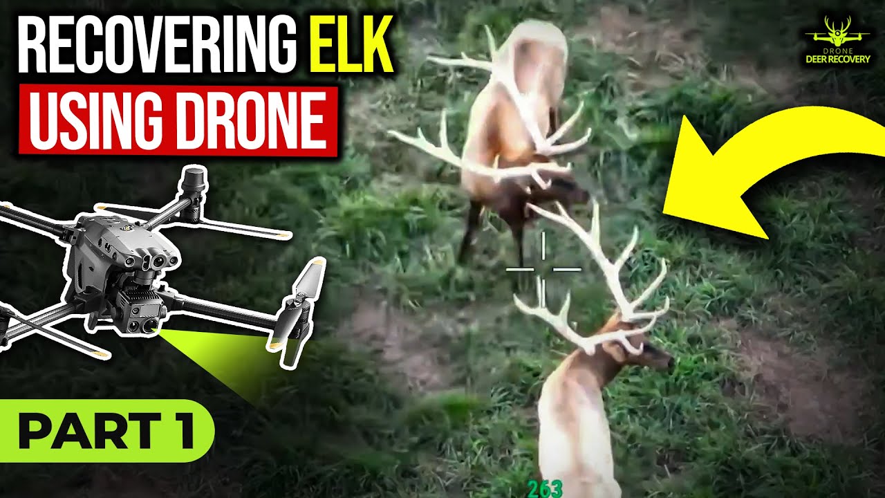 Pennsylvania Elk Recovered with Thermal Drone, Part 1