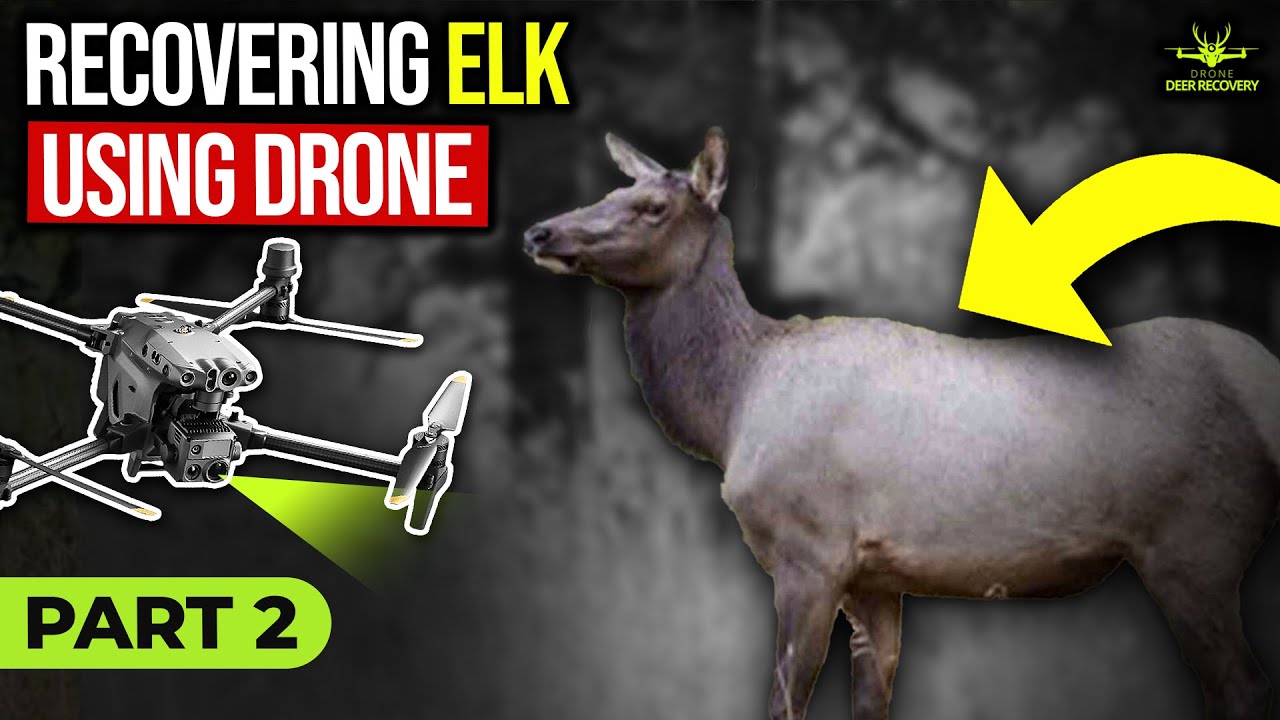 PA Elk Recovered with Thermal Drone, Part 2